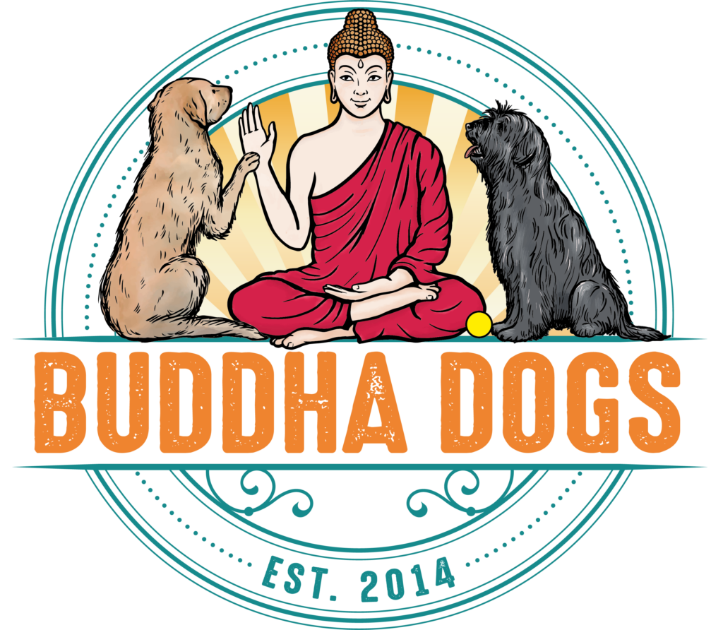 Buddha Dogs, hochsensibler Hund, Hochsensibilität Hund, Hundetraining, Hundeverhaltensberatung, Tierpsychologie, Tierpsychologin, Onlineberatung Hund